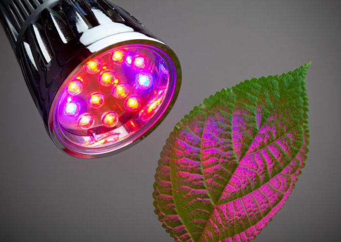 светодиоды для растений 