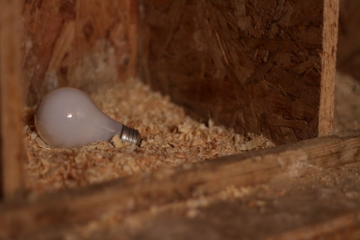 how to use supplemental lighting in the chicken coop during the winter